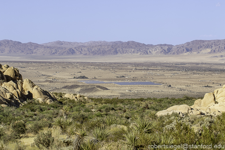 Desert Biogeography of Joshua Tree National Park